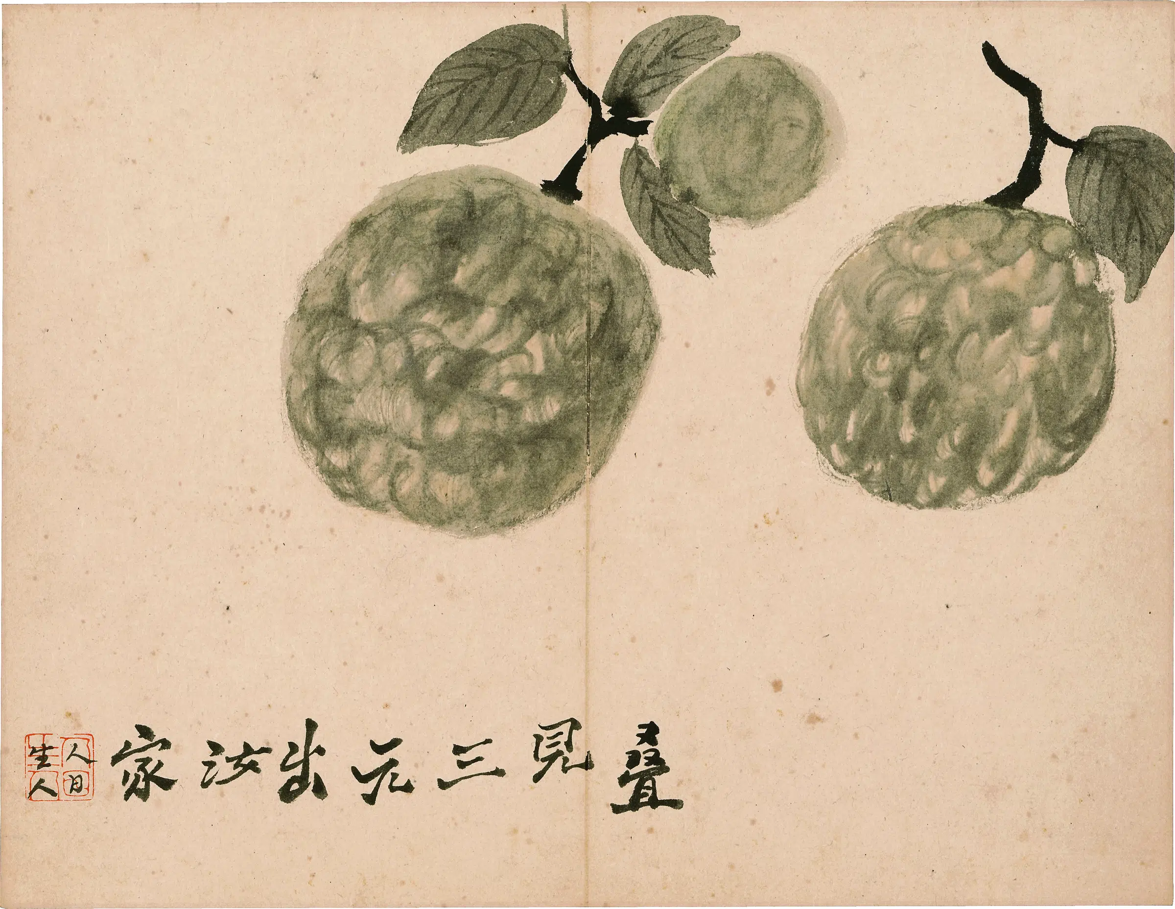 清代【罗聘】《花果图册-2》